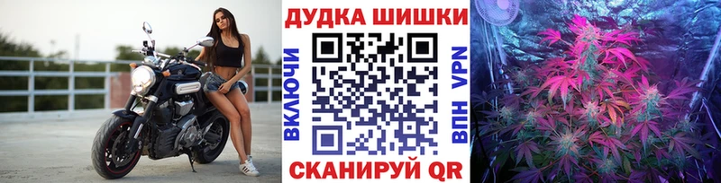 Бошки марихуана марихуана Каменногорск