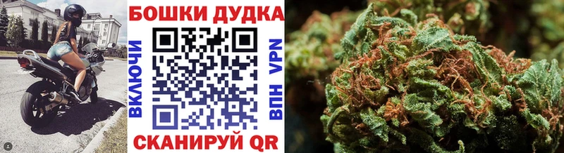Купить  Каменногорск  Конопля ГИДРОПОН 